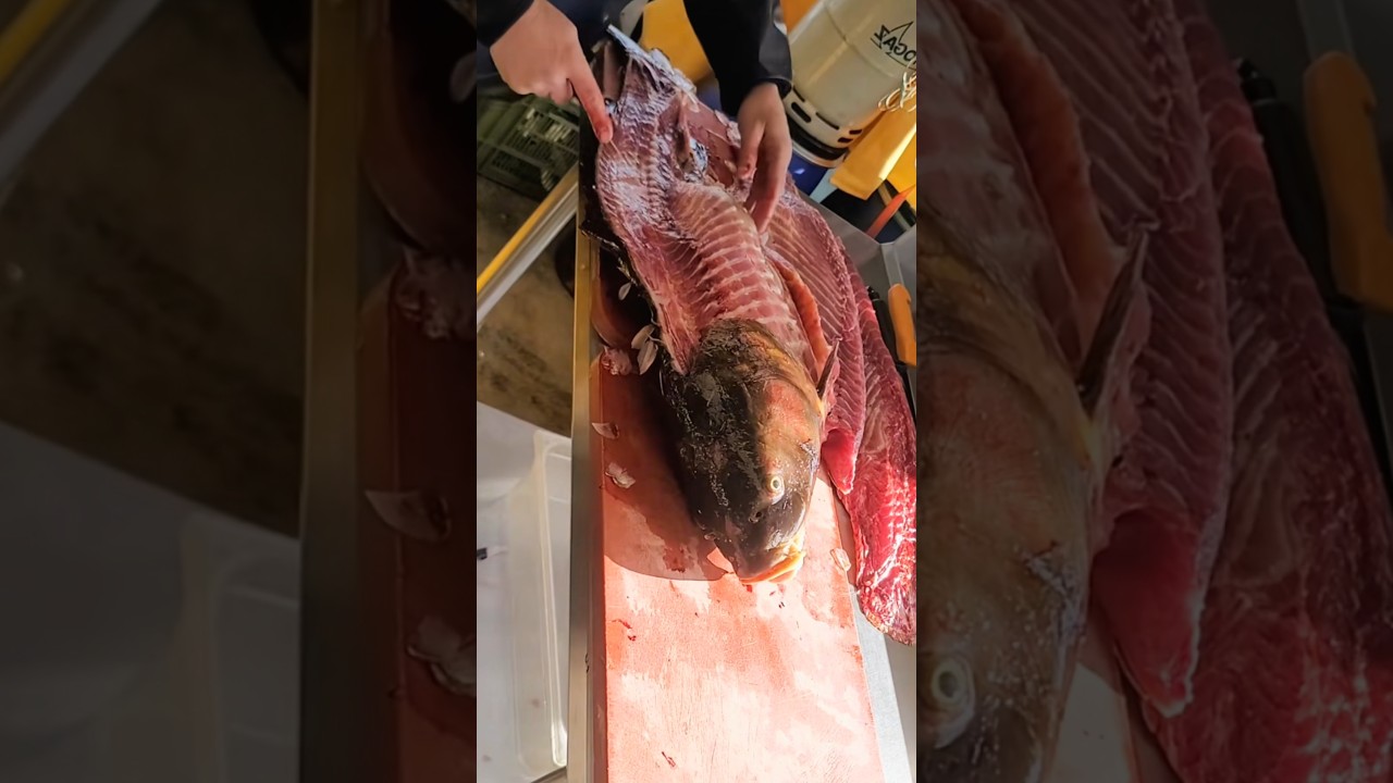 यूक्रेनियन मछली का कत्ल 😱 #aivideo #facts #shortvideo #fish #shortsfeed #fishing #youtubeshorts