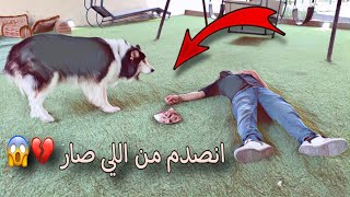 ردة فعل جاك لما اكلت لحم مسموم قدامه 💔