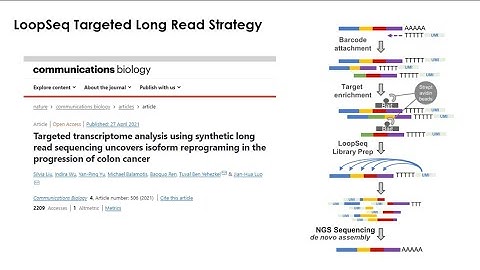 Targeted long read transcriptome sequencing with Loopseq™