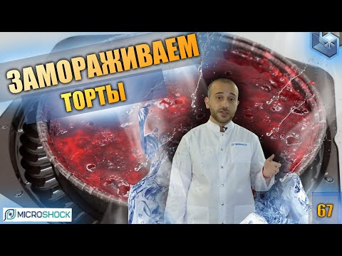 Microshock. Тест заморозки ягодных, сливочных тортов и чизкейка. Это акустическая заморозка (AEF).