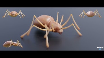 Spider walk cycle animation | Blender | "Phil and Sam" short movie