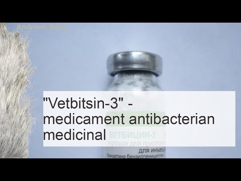 Vetbitsin-3: dozare, efecte secundare și instrucțiuni de utilizare a pulberii injectabile pentru
