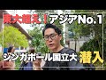 【大学にジャングル!?】アジアNo.1大学のキャンパス見学!シンガポール国立大学 NUS - National University of Singapore