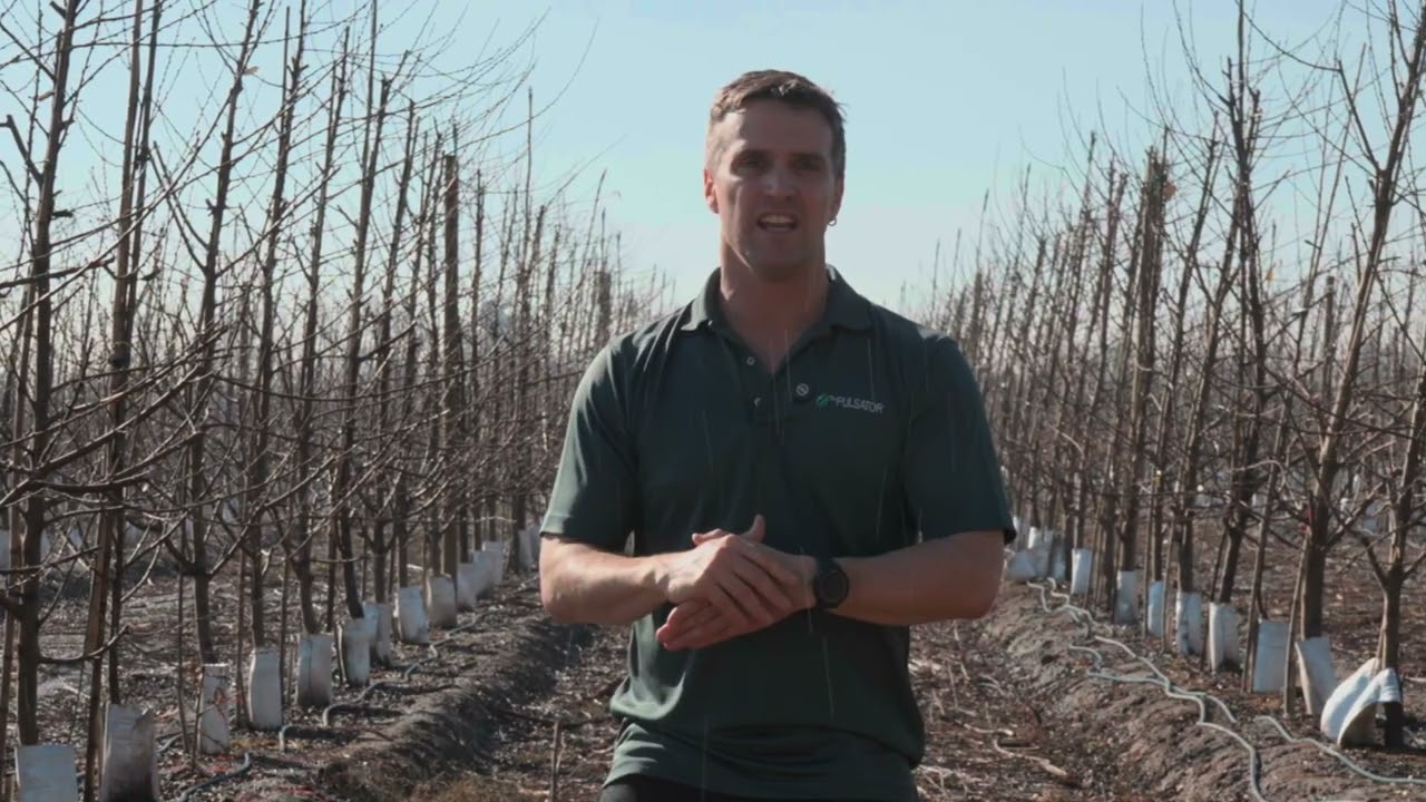 How the Pulsator 205 Protects Crops from Frost and Heat | Orchard Climate Control
