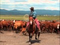 Ranchers Horse Sale - Western Broke Horses