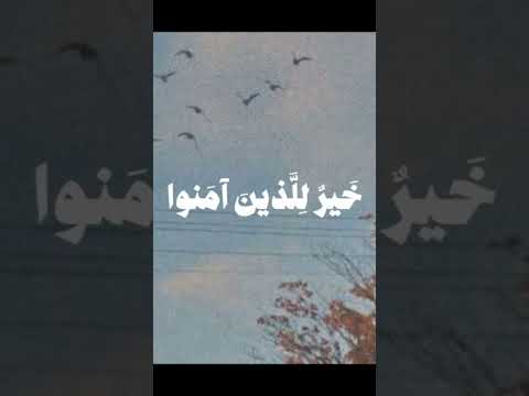 أجواء الصباح مع القرآن أجواء م ؤ نسة طيبه بارك الله في تلك الصباحات التي تبدأ بكلام الله