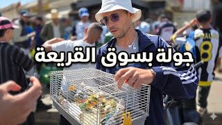 جولة حصرية في سوق القريعة مع كواليس هروب طائر الكويكر وأسعار الطيور اليوم