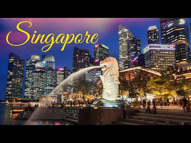 Singapore Diaries | Travel Video