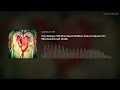 Jami Dulaney MD Plant Based Wellness Podcast Episode 417: Mitochondria and Health