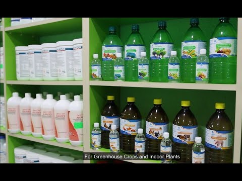 \"ელექსირის\" და \"ჯეოვეტი\" დამეგობრდნენ