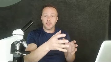 Worming, Fecal Egg Counts And Horse Training Q&A Livestream