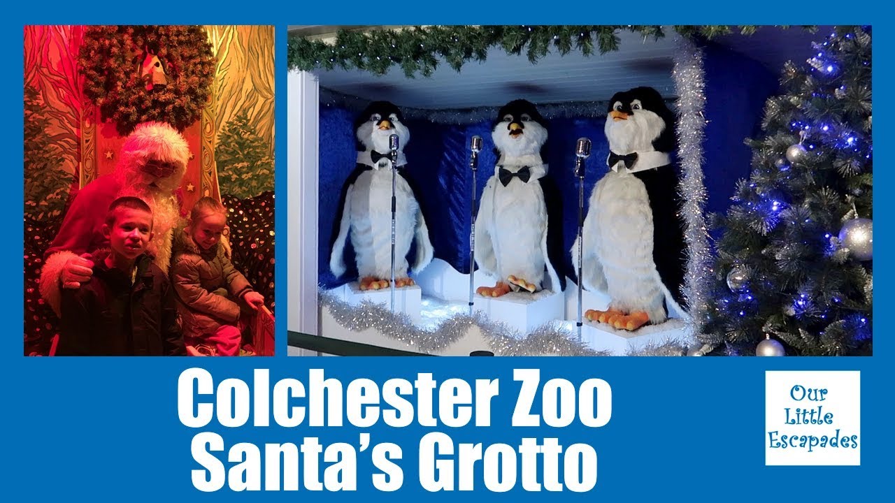 visit santa colchester zoo