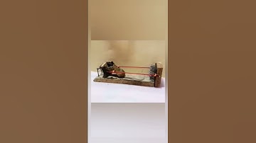 Mouse Loop Trap #shorts