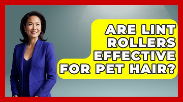 Are Lint Rollers Effective For Pet Hair? - Ultimate Life Hacks