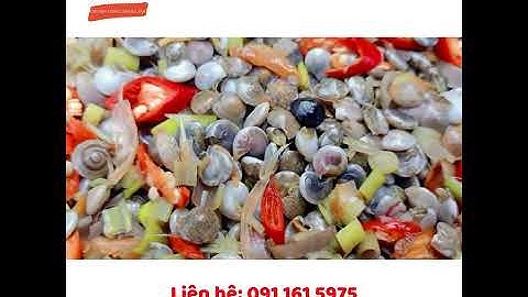 Ốc ruốc Quảng Ngãi