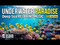Ocean Night Drift 🌌 • Relaxation Music for Sleep 😌 • Soft Underwater Flow 🌙