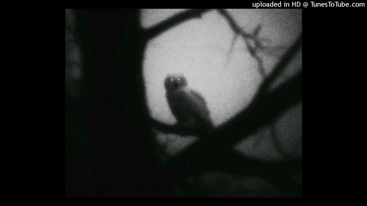 che * ken carson * playboi carti type beat 