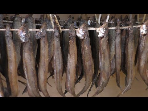 видео: Вяленая мойва, как засолить и завялить рыбу зимой в домашних условиях, закуска к пиву из мойвы.