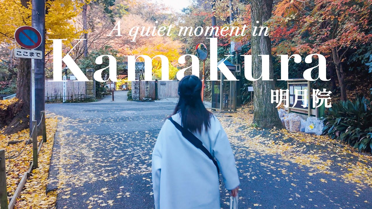 Life in Japan | A Hidden Zen Temple in Kamakura: The Quiet Beauty of Meigetsu-in