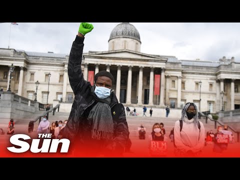 Protesters march in Hyde Park and at Buckingham Palace as riot cops stand guard