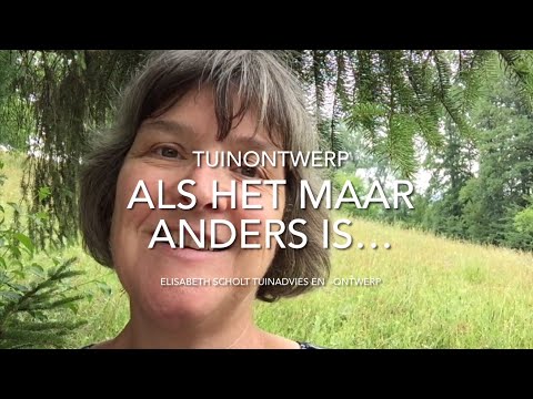 Video: Geurige lievevrouwebedstro: beschrijving