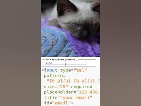 HTML input tel pattern - YouTube