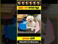 কুকুর এবং বানরের বন্ধুত্ব #shorts #monkey #cartoon #bhuter_cartoon #dog