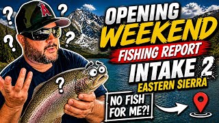 Eastern Sierra Trout Opening Weekend Intake 2 Report & Info #395 #marlonmeade