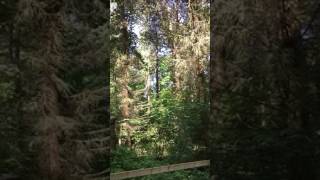 IMG 4127