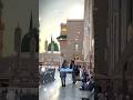 Madine ka safar hai 💚💚 #natepak #islamic #makkah #Madina #shorts #rasoolallah 💙💙🕊️🕊️🕊️💞😍💞💞😍🤔