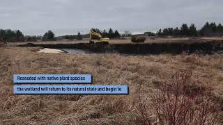 Full Wyanett Creek Timelapse News