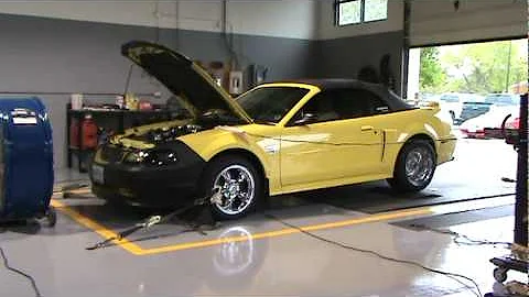 2001 N/A Mustang GT with Trick Flow Heads - Steeda.ca