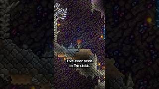 The RAREST World Gen in Terraria!