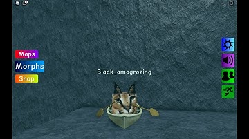Roblox Find The Floppa Morphs. How To Get Boat Floppa (In Water Map)