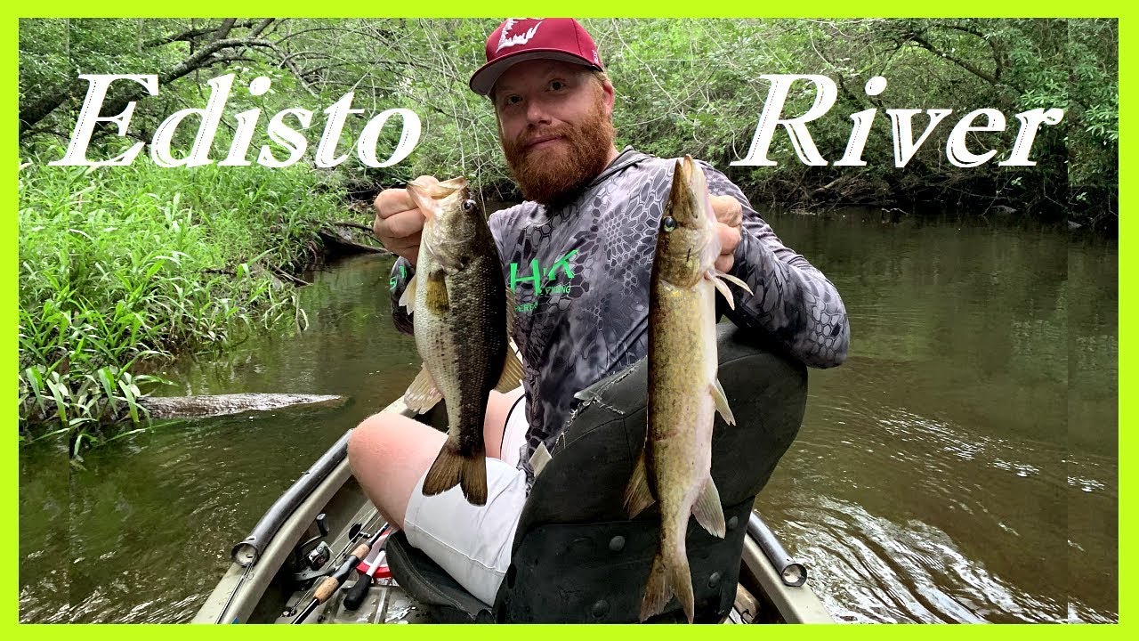 Fishing On The Edisto River YouTube