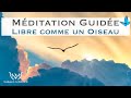 Mditation guide libre comme un oiseau