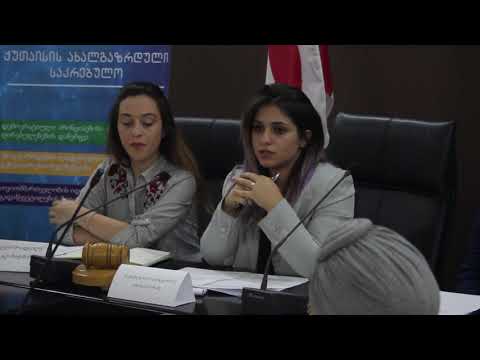 ქუთაისის სიმულაციურმა საკრებულომ განახლებადი ენერგიის წყაროებზე გადასვლის სტრატეგიის დოკუმენტი მიიღო