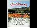 GoodMorning #HelloTuesday #TuesdayMotivation #NewDay MorningVibes #ConquerTheDay GoodMorningFacebook