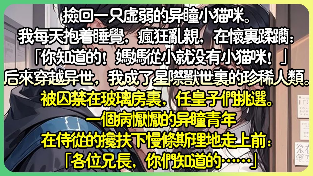 言情獸人💕撿回一隻虛弱的異瞳小貓咪。我每天都抱著睡覺，瘋狂亂親，在懷裡蹂躪：「你知道的！媽媽從小就沒有小貓咪！」後來穿越異世，我成了星際獸世裡的珍稀人類。一個病懨懨的異瞳青年走上前…#薄荷听书