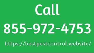 Winchester Pest Control - Pest Control Winchester Virginia VA