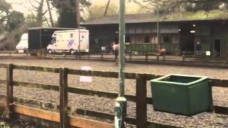 Download Lagu Fortuna by Furst Nymphenburg x wolkentanz MP3