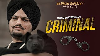 CRIMINAL ( Official Music Video ) Sidhu Moose Wala | Beatflon Records ™.