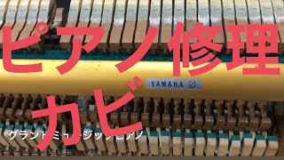 ピアノ修理1、アップライトピアノのアクション説明と分解！カビと破損