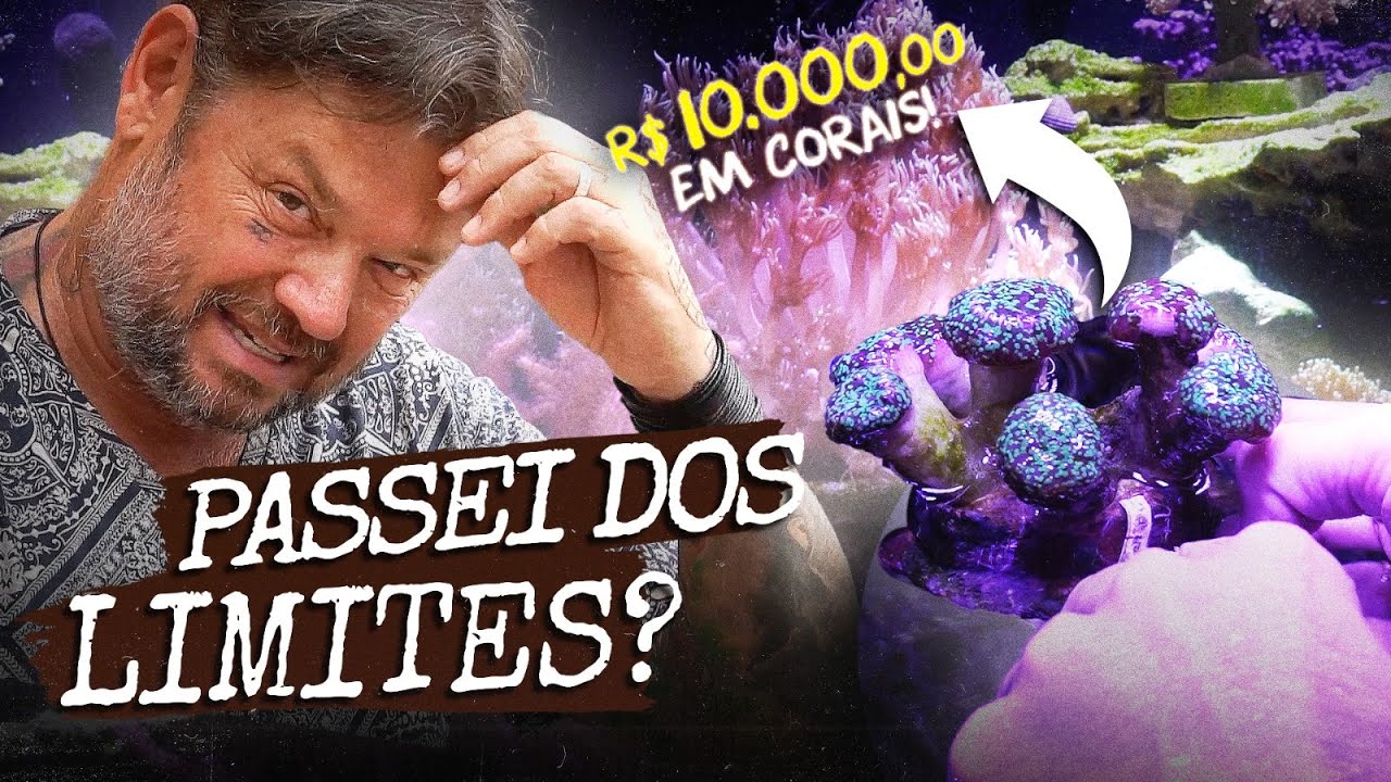 GASTEI MAIS DE R$10.000 EM CORAIS! DESSA VEZ EU EXAGEREI! | A CASA DOS BICHOS
