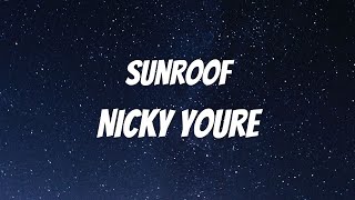 Nicky Youre & Dazy - Sunroof Lyrics