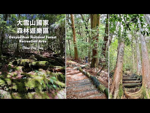 大雪山國家森林遊樂區Dasyueshan National Forest Recreation Area