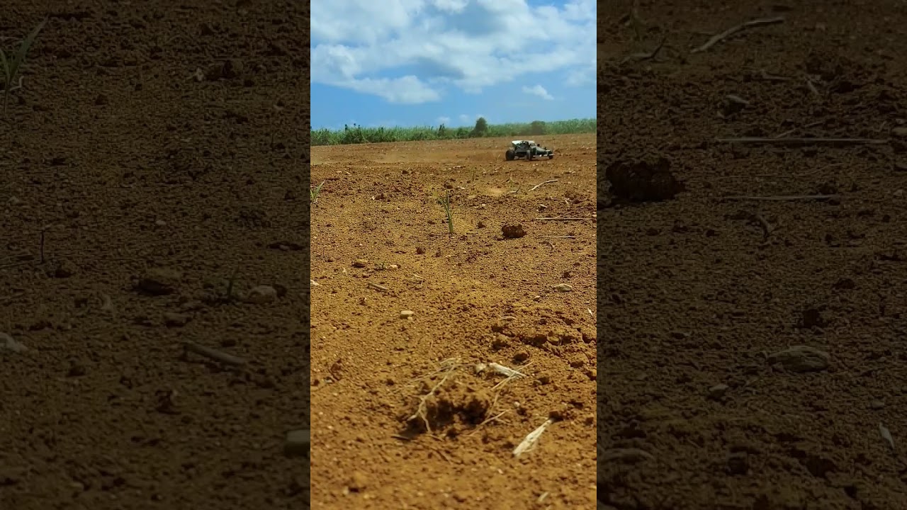 Tamiya Grasshopper 1/10 RC CAR 2WD