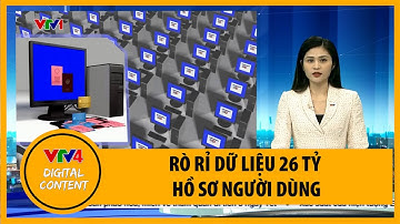 Rò rỉ dữ liệu 26 tỷ hồ sơ người dùng | VTV4