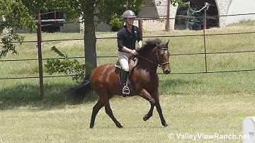 Dash - riding on the flat #1 - ValleyViewRanch.net