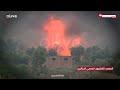 الدخان يغطي السماء   حرائق تلتهم غابات الجزائر وجهود متواصلة للسيطرة عليها